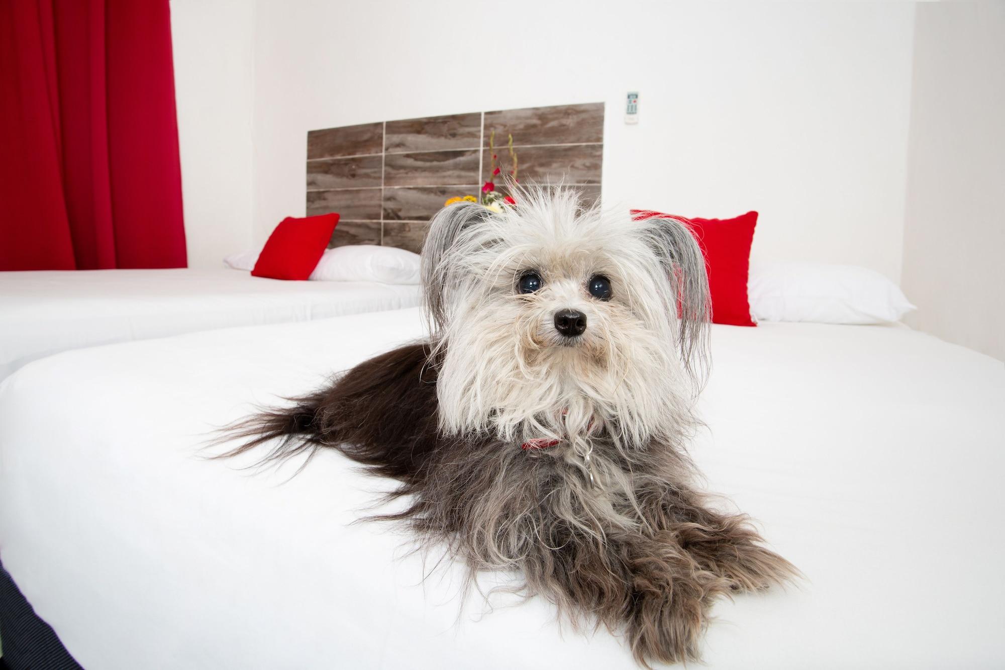 Suite 24 Aparthotel By Xperience Hotels Playa del Carmen Esterno foto